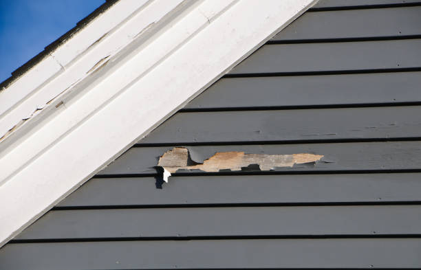 Best Insulated Siding Installation  in Bostonia, CA