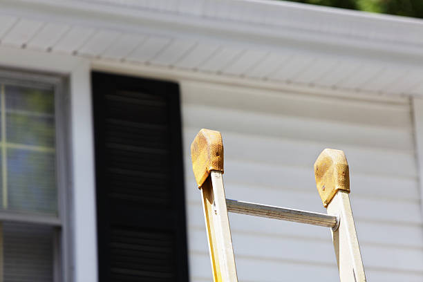 Affordable Siding Repair and Maintenance Services in Bostonia, CA